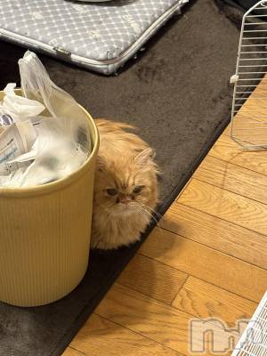 ��Į���ʥå��������륺�С�L'asile(�饸����) riko��2��14���̥�֥����֤���Ф�ϡ���