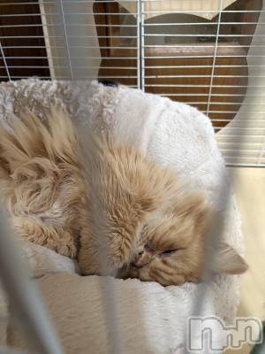 ��Į���ʥå��������륺�С�L'asile(�饸����) riko��3��20���̥�֥����֤���Ф�ϡ���