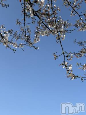 ��Į���ʥå��������륺�С�L'asile(�饸����) riko��4��11���̥�֥����֤���Ф�ϡ���