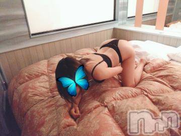 新潟人妻デリヘル不倫檸檬(フリンレモン) 夏未（なつみ）(47)の12月20日写メブログ「引退です。」