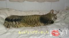 新潟人妻デリヘル不倫檸檬(フリンレモン) 夏未（なつみ）(47)の6月4日写メブログ「退勤🌝」