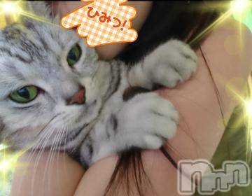 新潟デリヘル Secret Love(シークレットラブ) なつみ☆極上美熟女(47)の8月30日写メブログ「ヤラレタ・・」