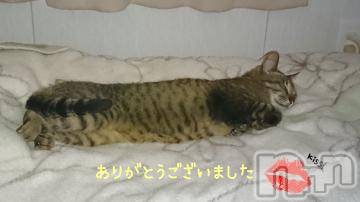 新潟デリヘル Secret Love(シークレットラブ) なつみ☆極上美熟女(47)の6月4日写メブログ「退勤🌝」