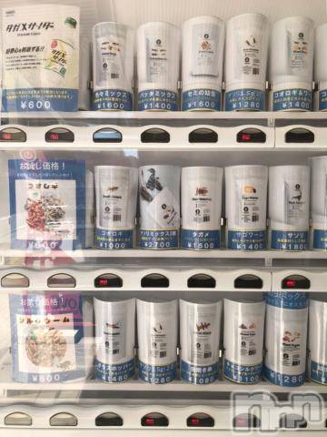 新潟デリヘル奥様特急 新潟店(オクサマトッキュウニイガタテン) うるみ(35)の6月4日写メブログ「[お題]from:コオロギパンさん」