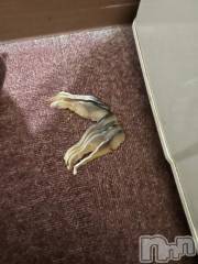 新潟デリヘル奥様特急 新潟店(オクサマトッキュウニイガタテン) うるみ(35)の1月7日写メブログ「鯖が…」