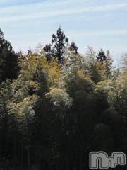 新潟デリヘル奥様特急 新潟店(オクサマトッキュウニイガタテン) うるみ(35)の3月7日写メブログ「かふん…」