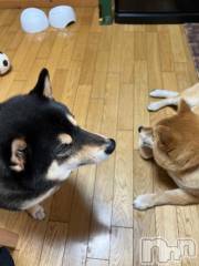 新潟デリヘル奥様特急 新潟店(オクサマトッキュウニイガタテン) うるみ(35)の3月9日写メブログ「いっぬ」