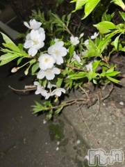 新潟デリヘル奥様特急 新潟店(オクサマトッキュウニイガタテン) うるみ(35)の4月13日写メブログ「初体験」