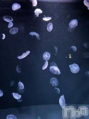 新潟デリヘル奥様特急 新潟店(オクサマトッキュウニイガタテン) うるみ(35)の7月11日写メブログ「くらげさん」