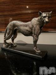 新潟デリヘル奥様特急 新潟店(オクサマトッキュウニイガタテン) うるみ(35)の8月9日写メブログ「ガオ～」