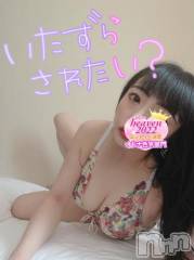 新潟デリヘル奥様特急 新潟店(オクサマトッキュウニイガタテン) うるみ(35)の10月4日写メブログ「いたずら……」