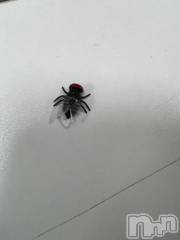 新潟デリヘル奥様特急 新潟店(オクサマトッキュウニイガタテン) うるみ(35)の10月8日写メブログ「これは、」