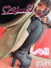 新潟デリヘル奥様特急 新潟店(オクサマトッキュウニイガタテン) うるみ(35)の11月10日写メブログ「出勤♡」