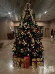 新潟デリヘル奥様特急 新潟店(オクサマトッキュウニイガタテン) うるみ(35)の11月15日写メブログ「ツリー🎄」