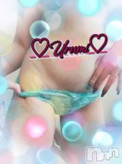 新潟デリヘル奥様特急 新潟店(オクサマトッキュウニイガタテン) うるみ(35)の11月16日写メブログ「お礼♡I様」