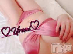 新潟デリヘル奥様特急 新潟店(オクサマトッキュウニイガタテン) うるみ(35)の12月20日写メブログ「お礼♡S様」