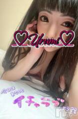 新潟デリヘル奥様特急 新潟店(オクサマトッキュウニイガタテン) うるみ(35)の12月20日写メブログ「しゅっきんん❣️」