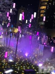 新潟デリヘル奥様特急 新潟店(オクサマトッキュウニイガタテン) うるみ(35)の12月21日写メブログ「イルミネーション♡」