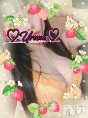 新潟デリヘル奥様特急 新潟店(オクサマトッキュウニイガタテン) うるみ(35)の1月22日写メブログ「お礼♡S様」