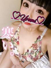 新潟デリヘル奥様特急 新潟店(オクサマトッキュウニイガタテン) うるみ(35)の1月24日写メブログ「ひぇぇ」