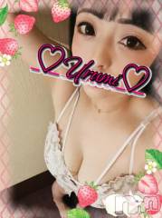 新潟デリヘル奥様特急 新潟店(オクサマトッキュウニイガタテン) うるみ(35)の1月28日写メブログ「お礼♡N様」