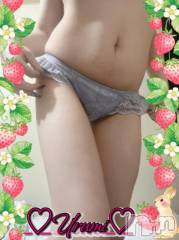 新潟デリヘル奥様特急 新潟店(オクサマトッキュウニイガタテン) うるみ(35)の2月4日写メブログ「お礼♡T様」