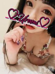 新潟デリヘル奥様特急 新潟店(オクサマトッキュウニイガタテン) うるみ(35)の2月27日写メブログ「出勤💜」