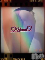 新潟デリヘル奥様特急 新潟店(オクサマトッキュウニイガタテン) うるみ(35)の3月7日写メブログ「お礼♡N様」