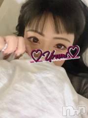 新潟デリヘル奥様特急 新潟店(オクサマトッキュウニイガタテン) うるみ(35)の3月29日写メブログ「にゃはぁ」