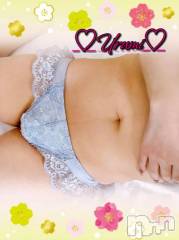 新潟デリヘル奥様特急 新潟店(オクサマトッキュウニイガタテン) うるみ(35)の4月3日写メブログ「お礼♡K様」