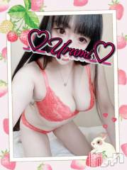 新潟デリヘル奥様特急 新潟店(オクサマトッキュウニイガタテン) うるみ(35)の5月28日写メブログ「おはよぉ(  ¯꒳​¯ )ᐝ」