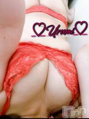 新潟デリヘル奥様特急 新潟店(オクサマトッキュウニイガタテン) うるみ(35)の6月11日写メブログ「お礼♡K様」