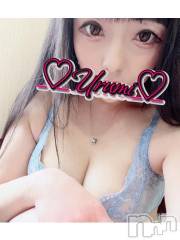 新潟デリヘル奥様特急 新潟店(オクサマトッキュウニイガタテン) うるみ(35)の6月28日写メブログ「しゅっ( ^-^)⊃≡」