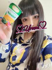 新潟デリヘル奥様特急 新潟店(オクサマトッキュウニイガタテン) うるみ(35)の6月30日写メブログ「しゅっ」