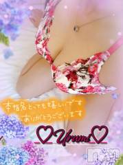 新潟デリヘル奥様特急 新潟店(オクサマトッキュウニイガタテン) うるみ(35)の7月1日写メブログ「お礼♡本指名S様」