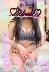 新潟デリヘル奥様特急 新潟店(オクサマトッキュウニイガタテン) うるみ(35)の8月7日写メブログ「しゅっきーん」