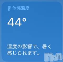 新潟デリヘル奥様特急 新潟店(オクサマトッキュウニイガタテン) うるみ(35)の8月9日写メブログ「は？」