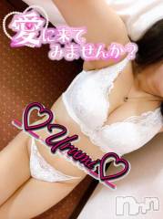 新潟デリヘル奥様特急 新潟店(オクサマトッキュウニイガタテン) うるみ(35)の8月12日写メブログ「4時まで」