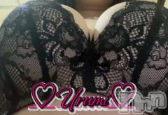 新潟デリヘル奥様特急 新潟店(オクサマトッキュウニイガタテン) うるみ(35)の10月27日写メブログ「下から」