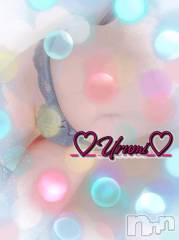 新潟デリヘル奥様特急 新潟店(オクサマトッキュウニイガタテン) うるみ(35)の11月15日写メブログ「お礼♡M様」