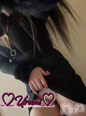 新潟デリヘル奥様特急 新潟店(オクサマトッキュウニイガタテン) うるみ(35)の11月15日写メブログ「帰」