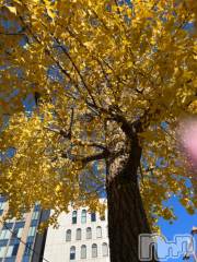 新潟デリヘル奥様特急 新潟店(オクサマトッキュウニイガタテン) うるみ(35)の11月22日写メブログ「いつのまにか」