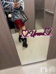 新潟デリヘル奥様特急 新潟店(オクサマトッキュウニイガタテン) うるみ(35)の12月15日写メブログ「お礼♡N様」
