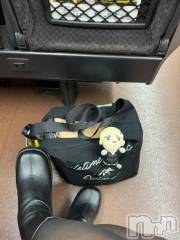 新潟デリヘル奥様特急 新潟店(オクサマトッキュウニイガタテン) うるみ(35)の1月30日写メブログ「れっつごー」