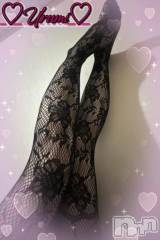 新潟デリヘル奥様特急 新潟店(オクサマトッキュウニイガタテン) うるみ(35)の2月15日写メブログ「網タイツも、」