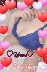 新潟デリヘル奥様特急 新潟店(オクサマトッキュウニイガタテン) うるみ(35)の3月27日写メブログ「お礼♡N様」