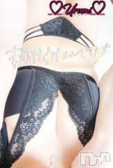 新潟デリヘル奥様特急 新潟店(オクサマトッキュウニイガタテン) うるみ(35)の5月12日写メブログ「お礼♡本指名S様」