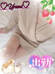 新潟デリヘル奥様特急 新潟店(オクサマトッキュウニイガタテン) うるみ(35)の5月17日写メブログ「出勤♡」