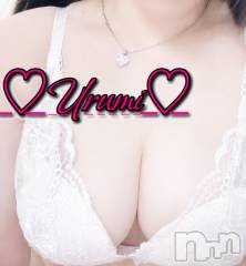 新潟デリヘル奥様特急 新潟店(オクサマトッキュウニイガタテン) うるみ(35)の11月14日写メブログ「[お題]from:千葉のカモメさん」