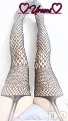 新潟デリヘル奥様特急 新潟店(オクサマトッキュウニイガタテン) うるみ(35)の12月4日写メブログ「おっはよん」